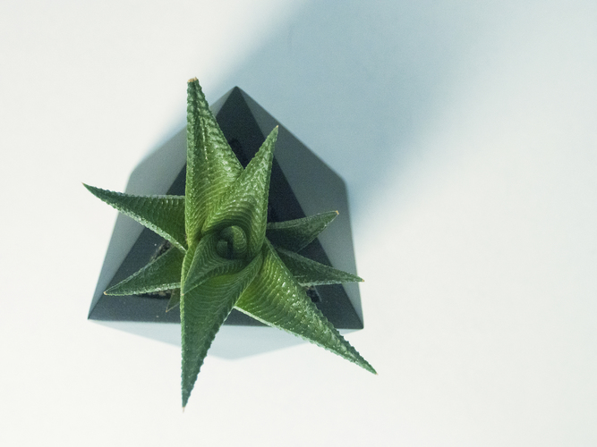 Octaedro planter 3D Print 148760