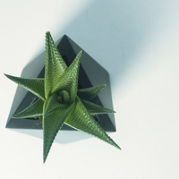Octaedro planter - Thumbnail 1