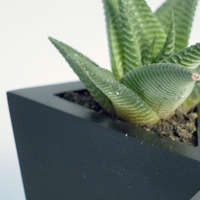 Octaedro planter - Thumbnail 5