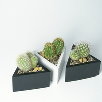 Prisma planter - Thumbnail 1
