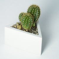 Prisma planter - Thumbnail 2