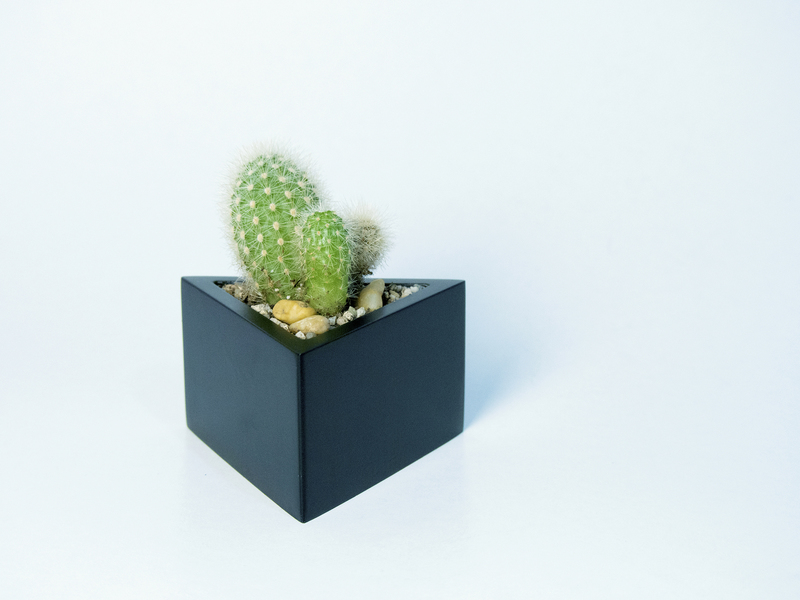 Prisma planter