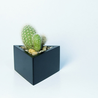 Small Prisma planter 3D Printing 148768