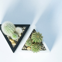 Prisma planter - Thumbnail 5