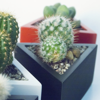 Prisma planter - Thumbnail 6