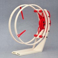 torlo - Thumbnail 14