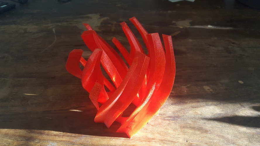 Wild Reflection Lamp 3D Print 149080