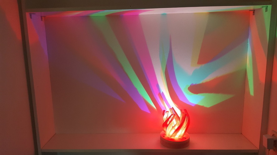 Wild Reflection Lamp 3D Print 149082