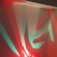 Wild Reflection Lamp - Thumbnail 6