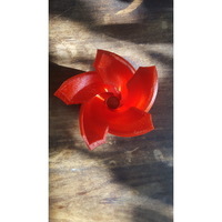 Swirl lamp - Thumbnail 5