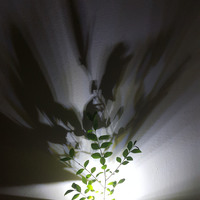 Shadow casting plant pot - Thumbnail 3