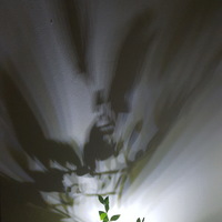 Shadow casting plant pot - Thumbnail 5