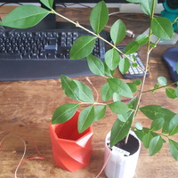Shadow casting plant pot - Thumbnail 6