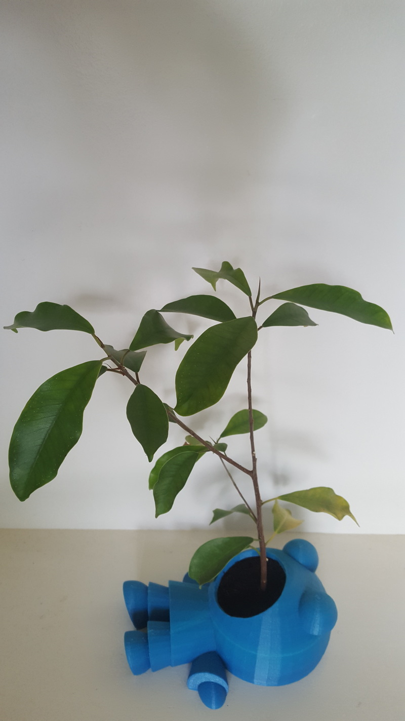 Plant Eating Man