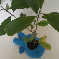 Plant Eating Man - Thumbnail 4