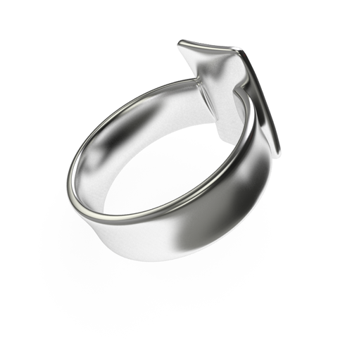Sleek concave ring 3D Print 14944