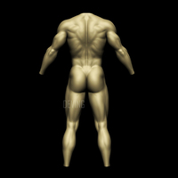 Batman muscle body for Muscle Suit Cosplay - Thumbnail 1