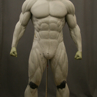Batman muscle body for Muscle Suit Cosplay - Thumbnail 8