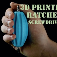 Small 3D Printed Ratchet Screwdriver 3D Printing 149560