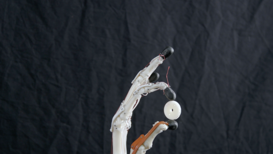 Biomimetic Robotic Prosthetic Hand 3D Print 149824