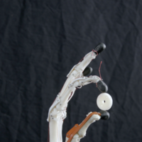 Biomimetic Robotic Prosthetic Hand - Thumbnail 2