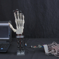 Biomimetic Robotic Prosthetic Hand - Thumbnail 6