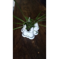 Plant Castle - Thumbnail 3