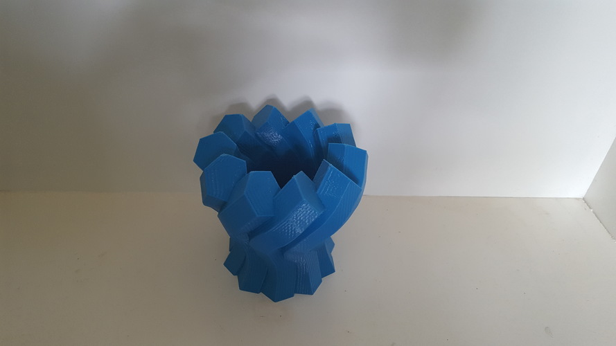 Twisted Hexagon Vase 3D Print 149962