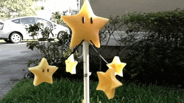 Invincible Lawn Star