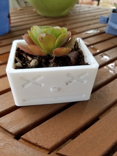 Robot Head Mini-Planter 3D Print 150693