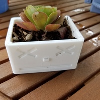 Robot Head Mini-Planter - Thumbnail 5