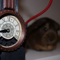 Amnesia a machine for guinea pigs - Thumbnail 7