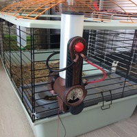 Amnesia a machine for guinea pigs - Thumbnail 13