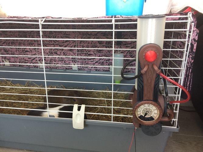 Amnesia a machine for guinea pigs 3D Print 151262