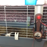 Amnesia a machine for guinea pigs - Thumbnail 14