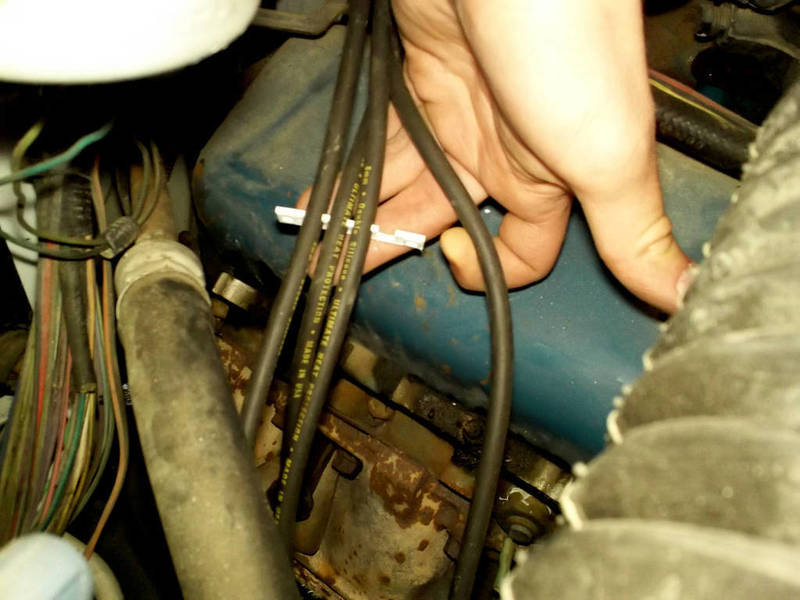 Cuztomizable Wire Loom