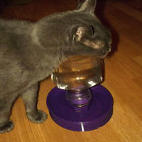 Simply Water Dish - Thumbnail 2