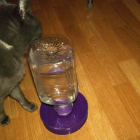 Simply Water Dish - Thumbnail 3