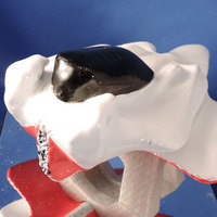 Sea Shaper - Thumbnail 3
