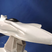 Sea Cruiser  - Thumbnail 5