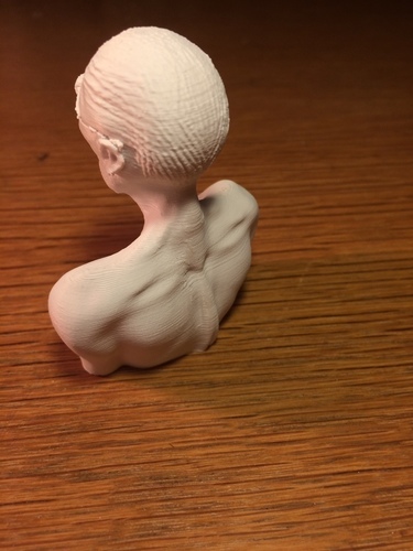 Leon the professional statue bust 3D Print 151702
