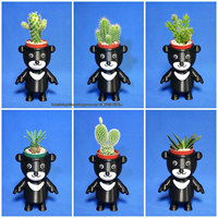 BEAR BRAVO Potted plants - Thumbnail 1