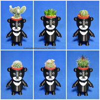 BEAR BRAVO Potted plants - Thumbnail 2