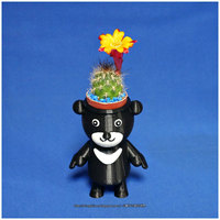 BEAR BRAVO Potted plants - Thumbnail 3