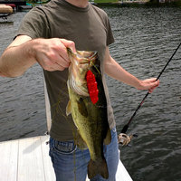 Swimbait Fishing Lure - Thumbnail 2