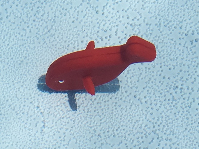 Pool-Fish 3D Print 152149