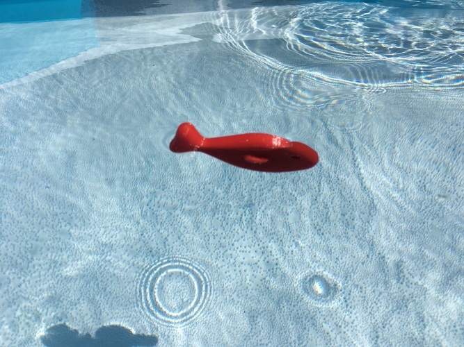Pool-Fish 3D Print 152151