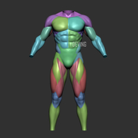 Batman muscle body for Muscle Suit Cosplay - Thumbnail 13