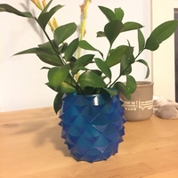 Pinecone/Pineapple Inspired Flower Pots - Thumbnail 2