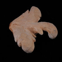 wood carving  - Thumbnail 3